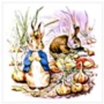 Logo of THE TALE OF BENJAMIN BUNNY android Application 